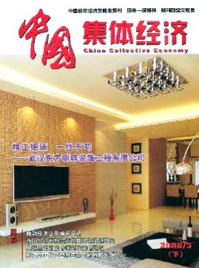 中国集体经济·下半月期刊